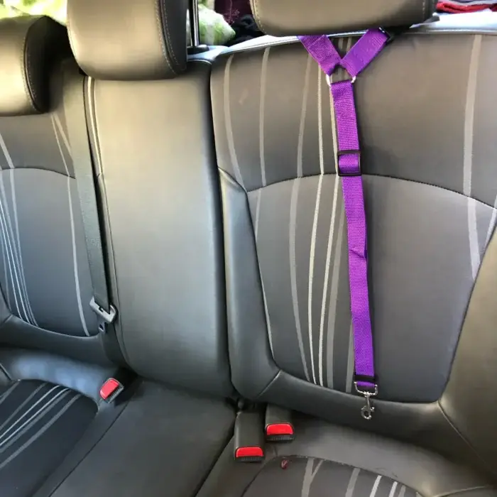 Rear view of a car's backseat showcasing black upholstery with a Solid Color Two-in-one Pet Car Seat Belt Nylon Lead Leash, colored purple, attached to the headrest. The adjustable dog's harness is clipped securely, and two red seat belt buckles are visible below.